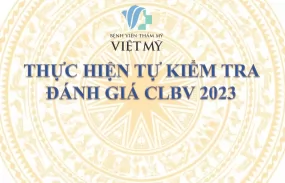 BỆNH VIỆN THẨM MỸ VIỆT MỸ BÁO CÁO KẾT QUẢ TỰ KIỂM TRA CHẤT LƯỢNG BỆNH VIỆN NĂM 2023